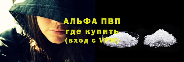 PSILOCYBIN Белокуриха