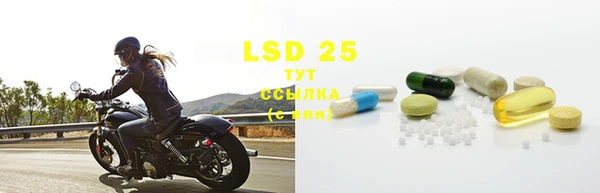 PSILOCYBIN Белокуриха