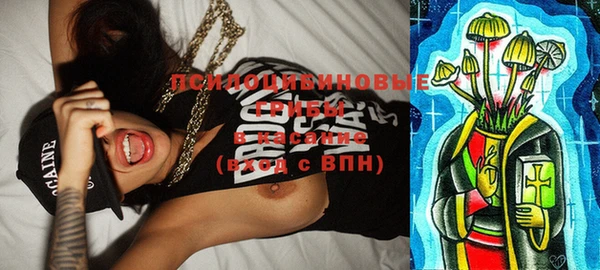 гашик Белоозёрский