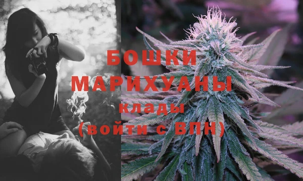 PSILOCYBIN Белокуриха