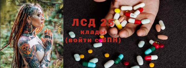 PSILOCYBIN Белокуриха