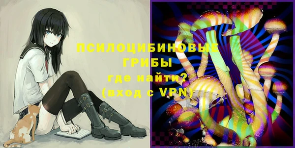 PSILOCYBIN Белокуриха