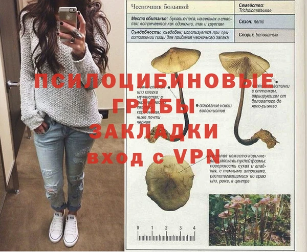гашик Белоозёрский