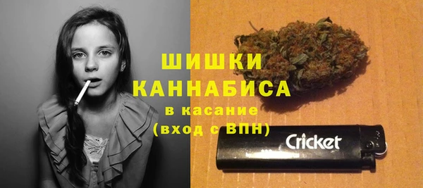 гашик Белоозёрский