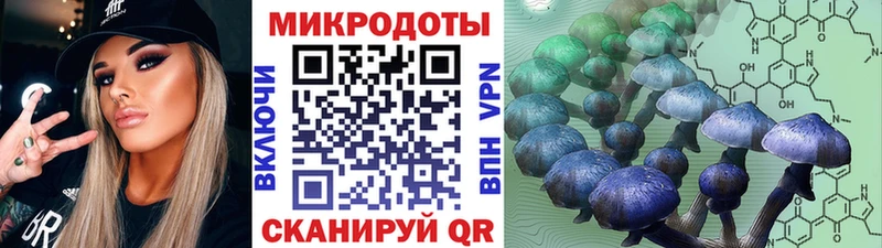 где купить наркоту  Менделеевск  Псилоцибиновые грибы Cubensis 